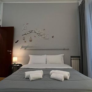 The Stay